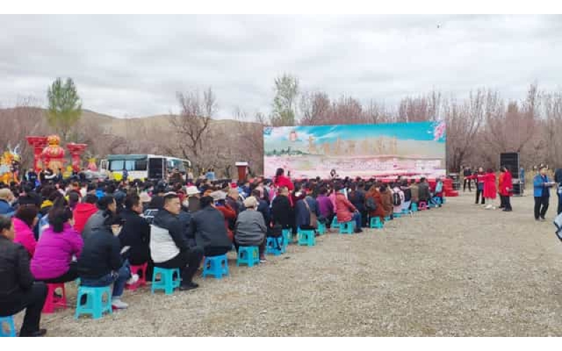 敦煌月牙泉杏林大型活動(dòng)場地